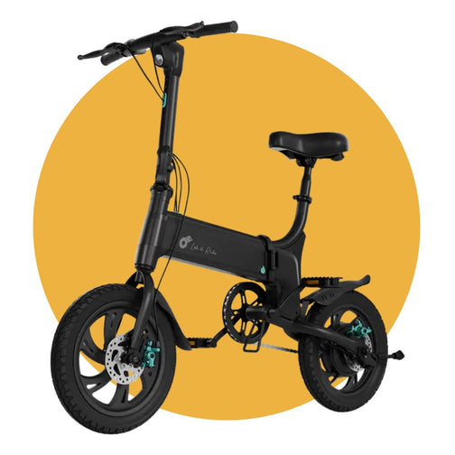 Electric bike