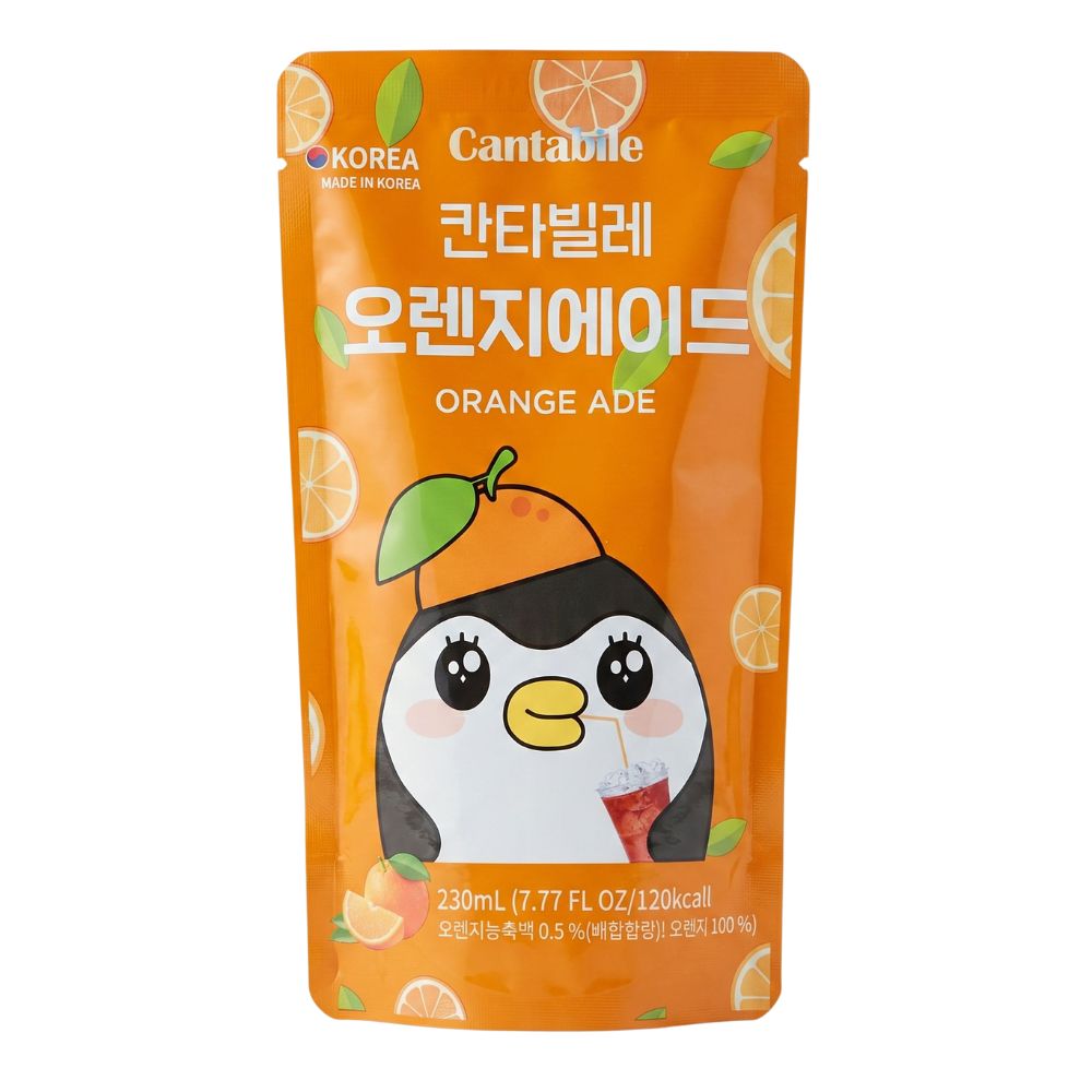 Cantabile Orange Ade, bevanda al gusto di aranciata da 230ml (Confezione da 10)